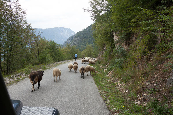 10.9. Fahrt Richtung Piva Stausee