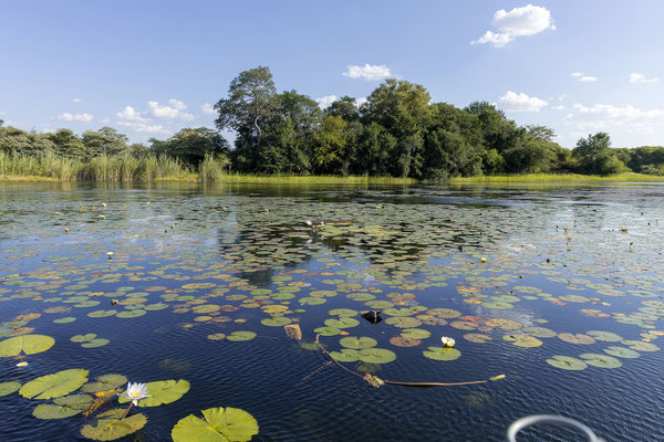 20.03. Evening Cruise 