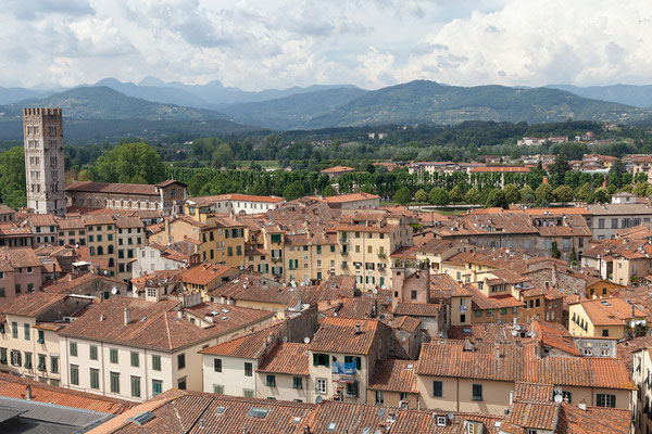 07.06. Lucca: Blick vom Torre Guinigi