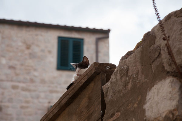 21.09. Dubrovnik - Pustjerna