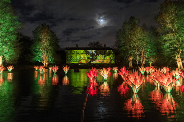 Christmas at Kew