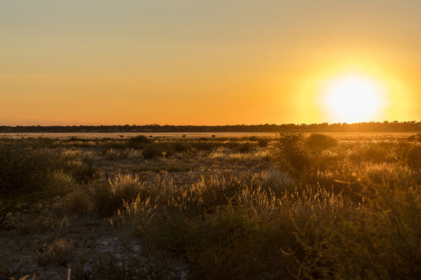 10.03. Um 6:30 starten wir zum Morning Drive.