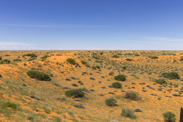 04.03. Kieliekrankie