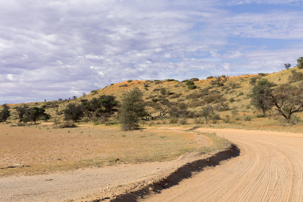 04.03. Morning Game Drive im Aoub Tal