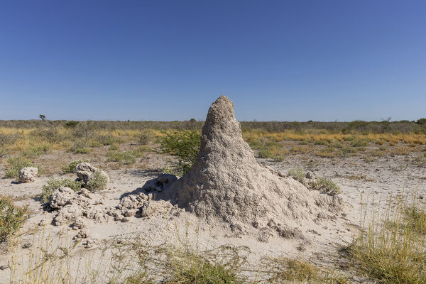 13.03. Nach etwa 70 km erreichen wir die Piper Pan. 