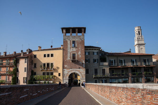 24.09. Verona - Ponte Pietra