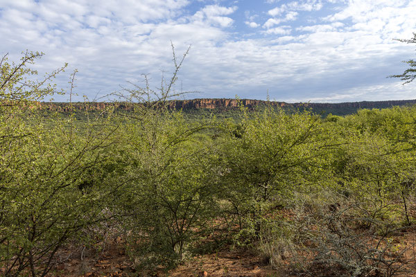 27.03. Heute machen wir uns auf den Weg zurück nach Windhoek.