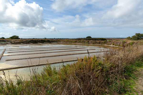 Die Salzgärten von Guérande sind seit über tausend Jahren in Betrieb und erstrecken sich über mehr als 2.000 Hektar.