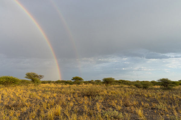 16.03. Morning Drive