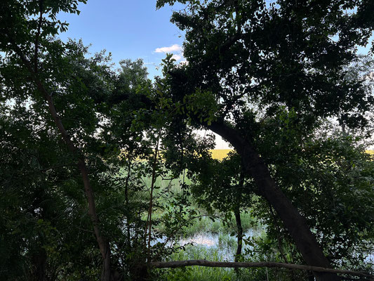 19.03. Campsite 12, Drotsky's Cabins