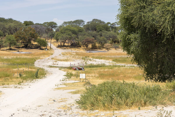 16.03. Gegen 16:15 fahren wir in den Makgadikgadi NP, der Boteti ist total trocken, keine Spur mehr vom Fluss.