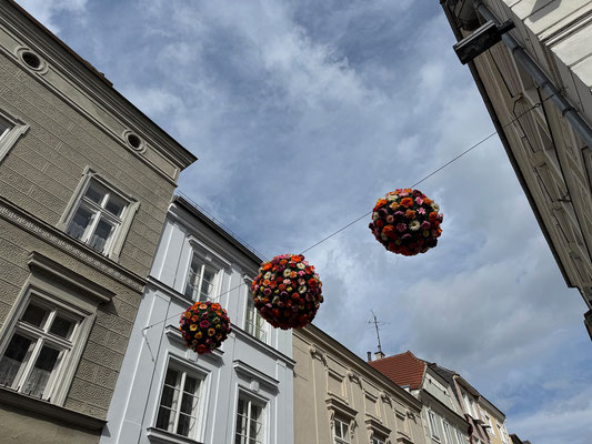 Krems