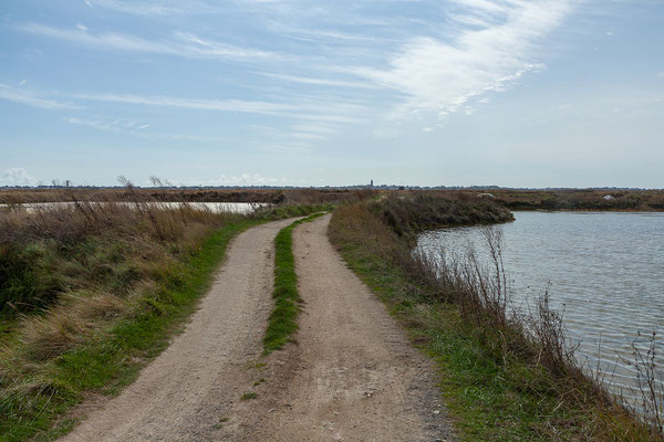 Nach dem Besuch bei Terre de Sel  fahren wir weiter durch die schöne Landschaft der Salzgärten.