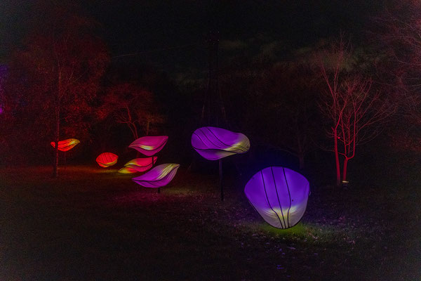 Christmas at Kew