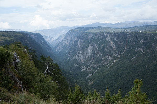 10.9. Der Tara Canyon im Durmitor Nationalpark ist nach dem Grand Canyon die zweittiefste Schlucht der Welt. 