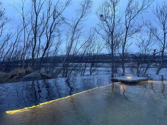 Forest Lagoon