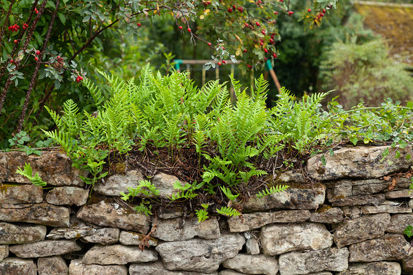 08.09. Arlington Row, Bibury