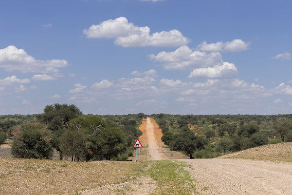 25.03. Auf dem Weg zum Waterberg