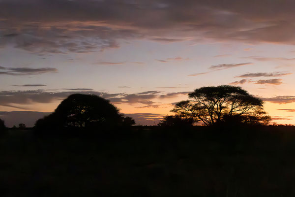 13.03. Evening Drive