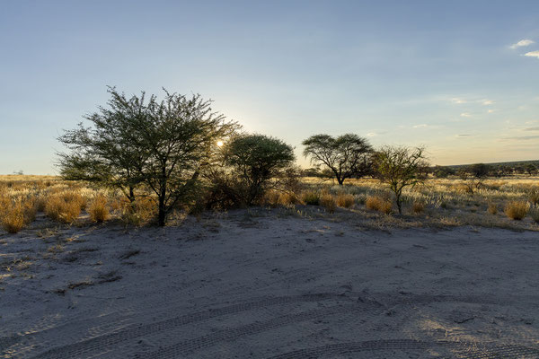 09.03. Bosobogolo 02 Campsite