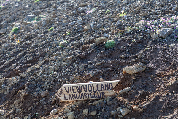 28.07. Zuerst wandern wir den selben Weg wie gestern zum Lavafeld. 