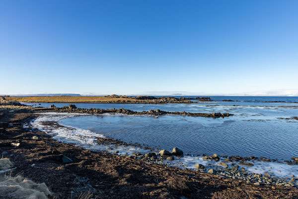 Illugastaðir Seehundkolonie