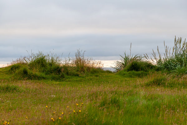 01.08. Garður 