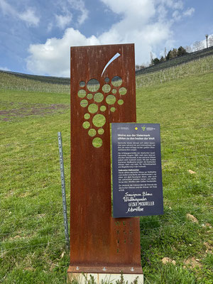 Weinlehrpfad Silberberg