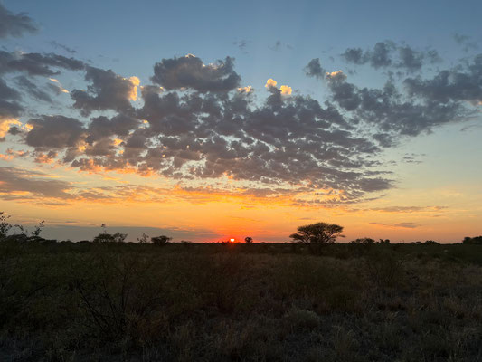 14.03. Lekhubu (CKWIL07): Wir genießen den Sonnenuntergang mit G & T.