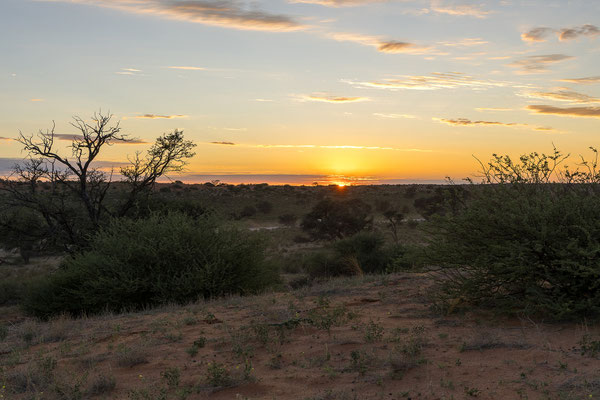 04.03. Um 5:50 läutet unser Wecker, wir starten im schönsten Morgenlicht zum Game Drive entlang des Auob.
