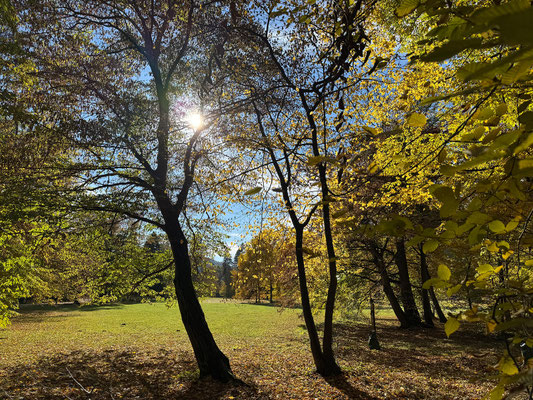 25.10. Schloß Eggenberg