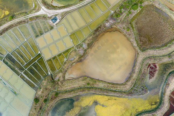 Salzgärten von Guérande