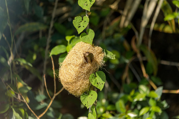 20.03. Evening Cruise