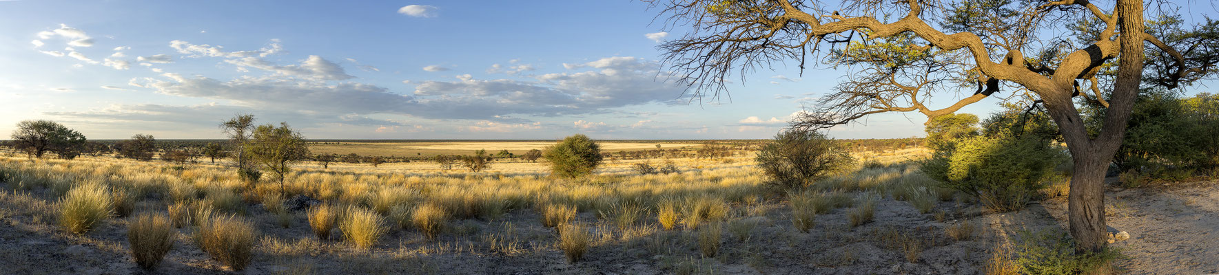 09.03. Bosobogolo 02 Campsite