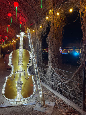 Imperial Lights, Schönbrunn
