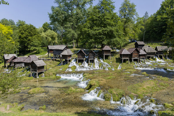 Heute existieren in Mlinčići noch etwa 20 von ursprünglich 24 Mühlen. Jede Mühle steht bis heute im Besitz einer Familie.