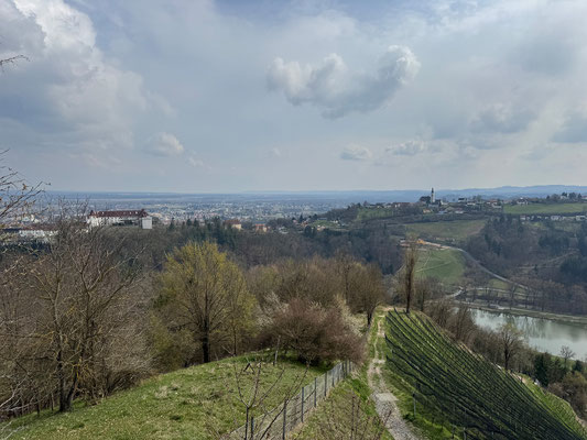 Weinlehrpfad Silberberg