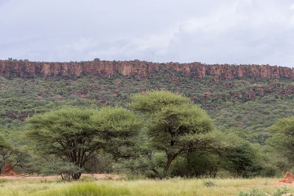 25.03. Waterberg Wilderness: Blick auf die Chalets der PLateau Lodge
