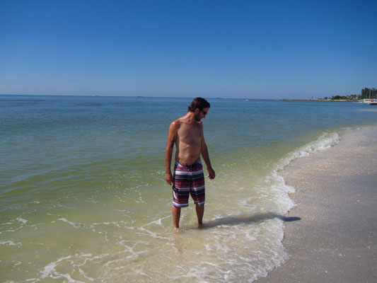 Sanibel Island am Muscheln sammeln