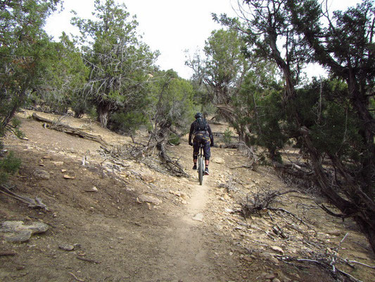 Bike Trail in Cortez, CO
