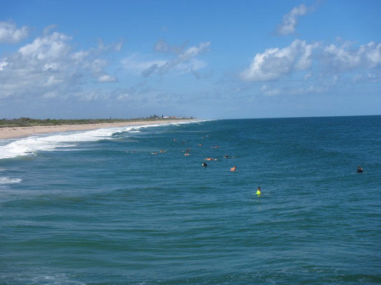 Sebastian Inlet State Park an der Ostküste