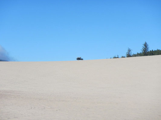 Finde Bagheera - Sand Lake Recreation Area