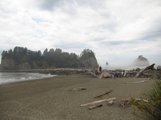 LaPush First Beach