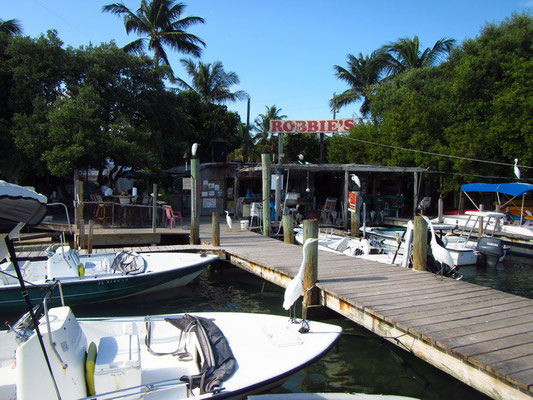 Robin's Marine in den Keys