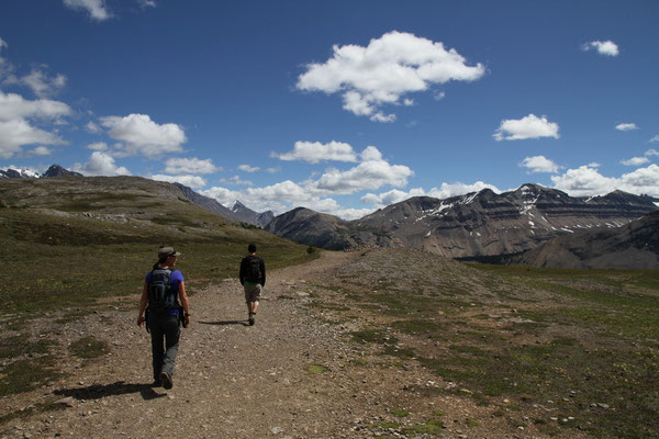 Wanderung zu Viert im Jasper Nationalpark