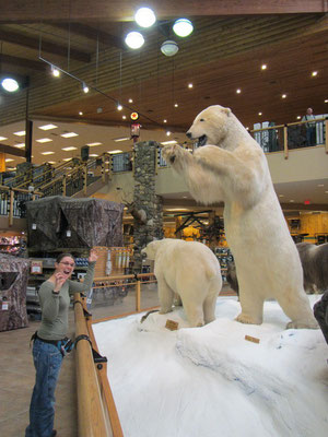 Cabelas