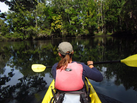 Kayaktrip bei Crystal River zur Three Sisters Spring