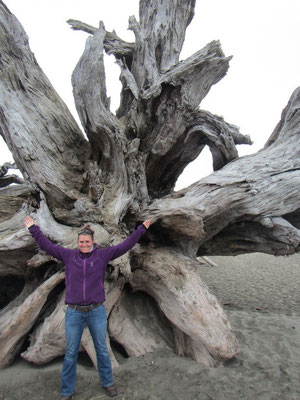 LaPush First Beach