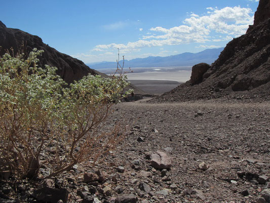 Death Valley National Park - Trail zur Natural Bridge