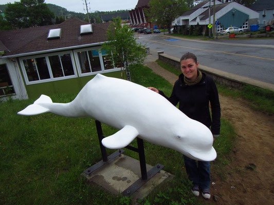 Ich und mein Lieblingstier dem Beluga